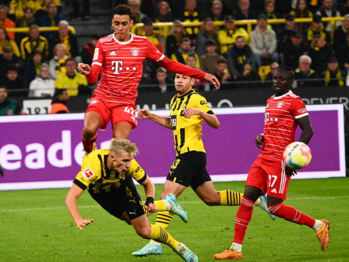 bundesliga fussball