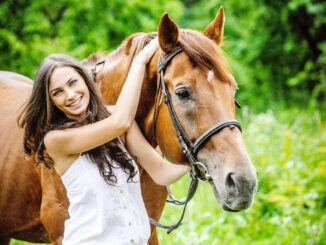 Das Pferd als Freund des Menschen